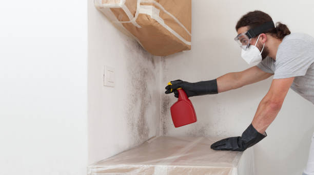 Professional Attic Mold Remediation technician working in Washington, IL
