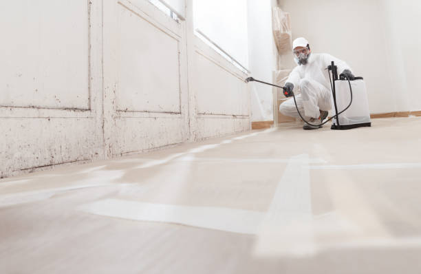 24/7 Emergency Attic Mold Remediation experts in Washington, IL